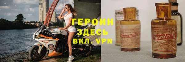 стафф Дмитриев