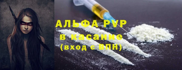 гашик Дмитров