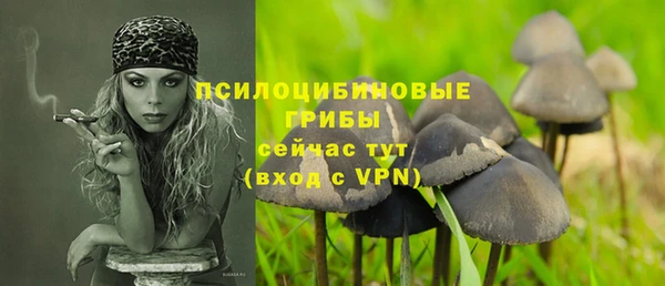 стафф Дмитриев