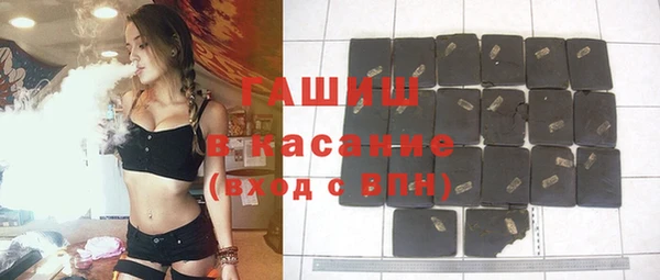 гашик Дмитров