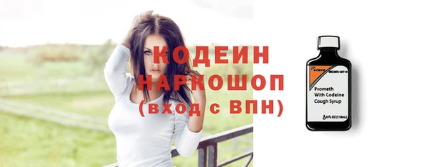 гашик Дмитров