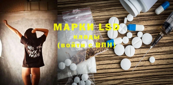 гашик Дмитров
