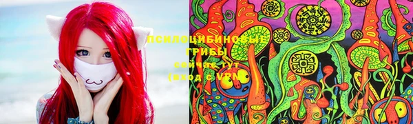 герыч Дмитровск