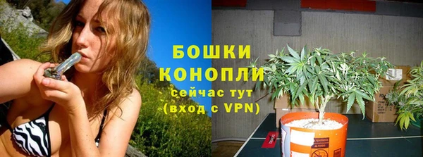 стафф Дмитриев