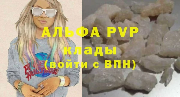 гашик Дмитров