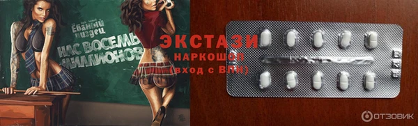 гашик Дмитров